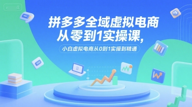 拼多多全域虚拟电商从零到1实操课，小白虚拟电商从0到1实操到精通-泡泡网创