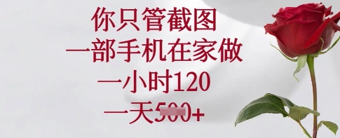 你只管截图，一部手机在家做，一小时120.一天5张【揭秘】-泡泡网创
