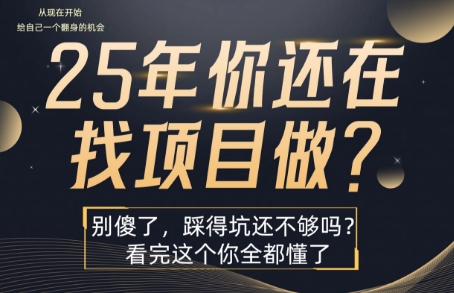 25年，你还在疯狂的找项目吗？别傻了，看完这个你都懂了【揭秘】-泡泡网创