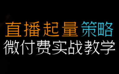 半野老师·直播带货起量与微付费必学课视频号-泡泡网创