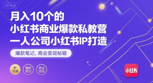 月入10个的小红书商业爆款私教营，一人公司小红书IP打造，爆款笔记，商业变现秘籍-泡泡网创
