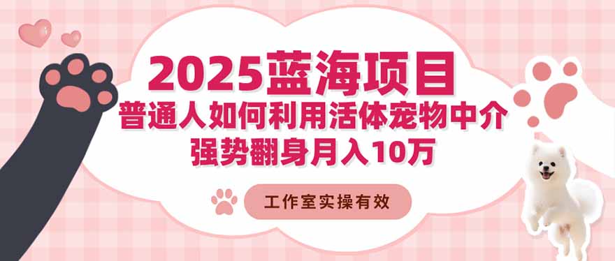2025蓝海项目：普通人如何利用活体宠物中介，强势翻身月入10万-泡泡网创