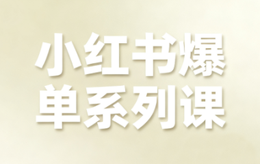 尼采老师·小红书爆单系列课-泡泡网创