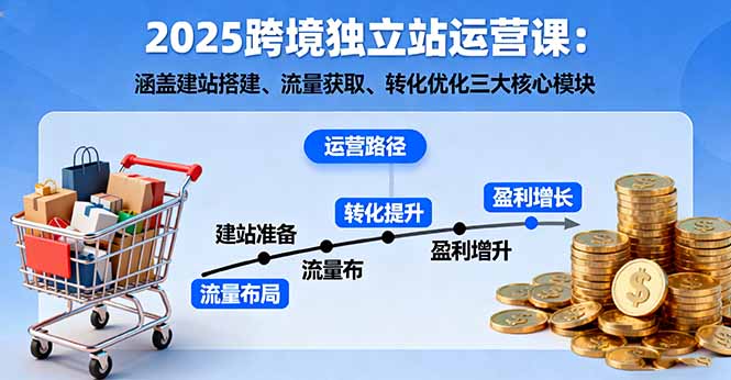 2025跨境独立站运营课：涵盖建站搭建、流量获取、转化优化三大核心模块-泡泡网创