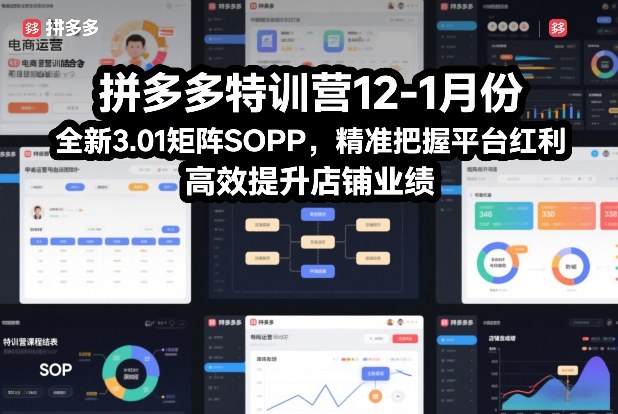 拼多多特训营12-1月份，全新3.01矩阵Sop，精准把握平台红利，高效提升店铺业绩-泡泡网创