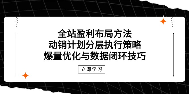 全站盈利布局方法：动销计划分层执行策略，爆量优化与数据闭环技巧-泡泡网创
