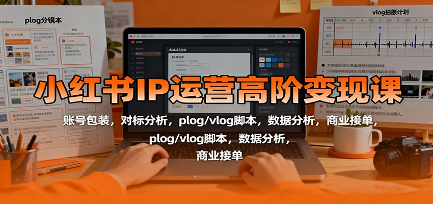 小红书IP运营高阶变现课：账号包装，对标分析，plog/vlog脚本，数据分析，商业接单-泡泡网创