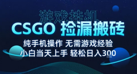 8月最新游戏搬砖，CSGO纯挂G，不需要玩游戏，实现真挂G，月入1W+【揭秘】-泡泡网创