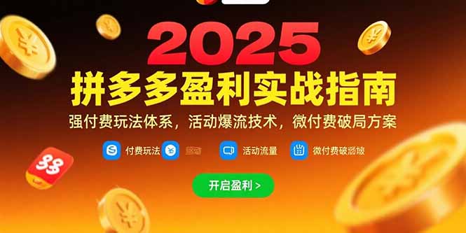 拼多多盈利实战指南，强付费玩法，活动爆流技术，微付费破局方案(更新7月-泡泡网创
