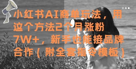 小红书AI商单玩法，用这个方法2个月涨粉7W+，新手也能接品牌合作(附全套指令模板)-泡泡网创