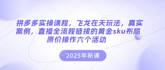 拼多多实操课程，飞龙在天玩法，真实案例，直播全流程链接的黄金sku布局原价操作六个活动-泡泡网创