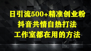 日引流500+精准创业粉，抖音共情自热打法，工作室都在用的方法-泡泡网创