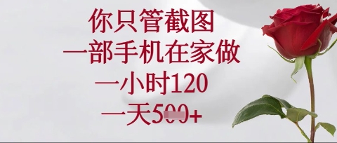 你只管截图，一部手机在家操作，一小时120.一天5张【揭秘】-泡泡网创
