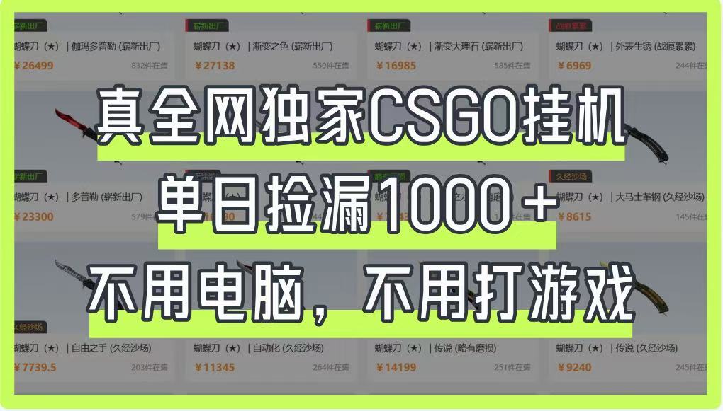真全网独家CSGO挂机，单日捡漏1000+，不用电脑，不用养号-泡泡网创