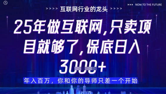 什么！25年你还在找项目做？风口早就变了，卖项目才是稳挣不赔【揭秘】-泡泡网创