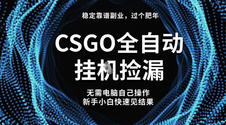 【稳定副业】全球最热门游戏CSGO全自动捡漏，最新玩法，新手小白日入5张+【揭秘】-泡泡网创
