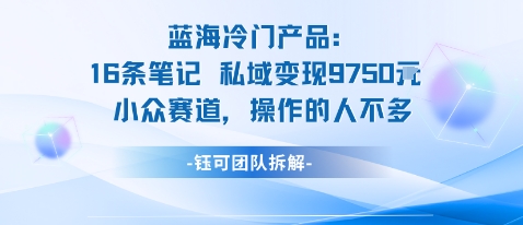 蓝海项目：16条笔记私域变现9750米小众赛道操作的人不多-泡泡网创