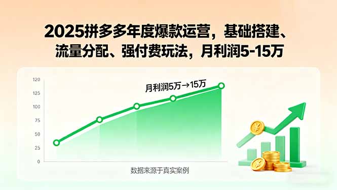 2025拼多多年度爆款运营，基础搭建、流量分配、强付费玩法，月利润5-15万-泡泡网创