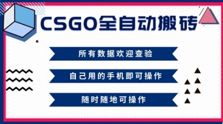 CSGO全自动搬砖，年底钱回家好项目，当天可拿到结果，新手小白轻松月入1W+【揭秘】-泡泡网创