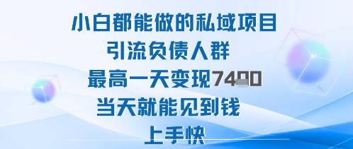 2025年小白都能做的私域项目引流负债人群最高一天变现1k+高变现难度低当天就能见到钱上手快-泡泡网创