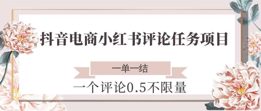 抖音电商小红书评论任务项目，一个评论0.5，一单一结 不限量-泡泡网创
