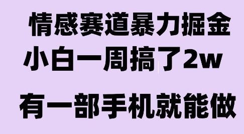 情感暴力掘金项目，新人操作一周挣了2W，长期稳定小白可做【揭秘】-泡泡网创
