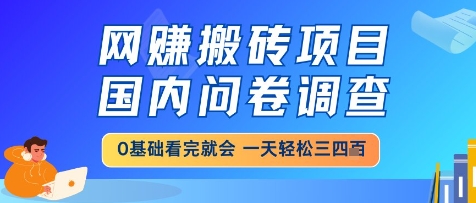 网创搬砖项目，国内问卷调查，小白轻松上手，一天三四张的也不难，干就完了【揭秘】-泡泡网创