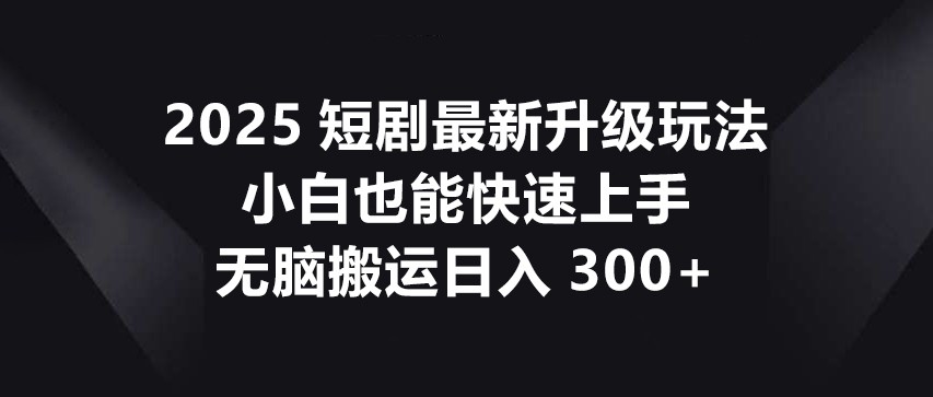 2025短剧最新升级玩法，小白也能快速上手，无脑搬运日入300+-泡泡网创