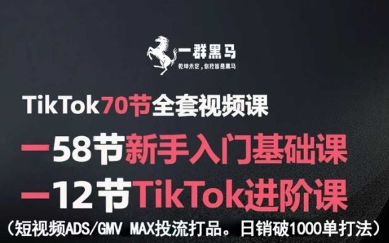 TikTok全套视频课，新手入门+进阶课，短视频ADS-GMV MAX投流打品，日销破1000单打法-泡泡网创