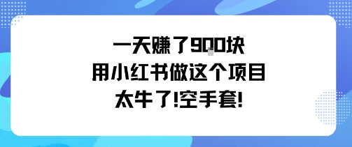 一天挣了9张用小红书做这个项目太牛了，空手套-泡泡网创