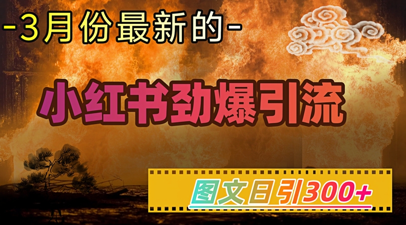 小红书超劲爆引流手段，图文日引300+轻松变现1W-泡泡网创
