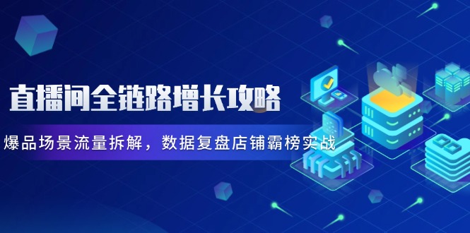 直播间全链路增长攻略，爆品场景流量拆解，数据复盘店铺霸榜实战-泡泡网创