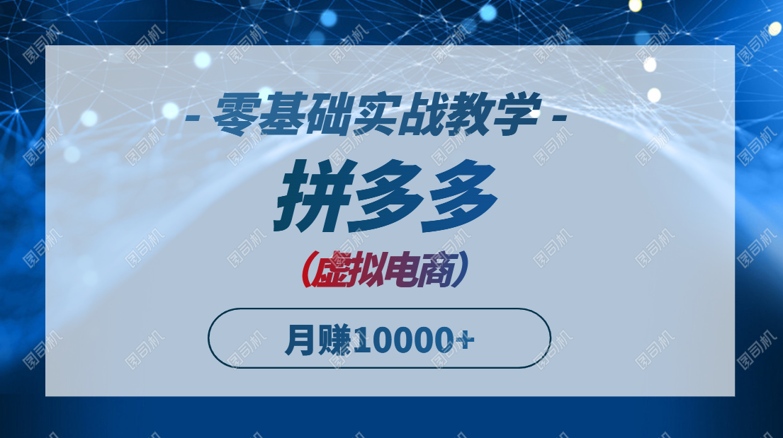 拼多多虚拟电商，零基础实战教学，快速打爆商品，新手也能月入10000+-泡泡网创