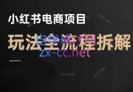 菲菲老师·小红书电商玩法(更新7月)-泡泡网创