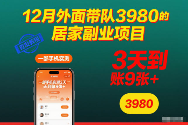 12月外面带队3980的居家副业项目，一部手机实测3天到账9张+，首发教程【揭秘】-泡泡网创