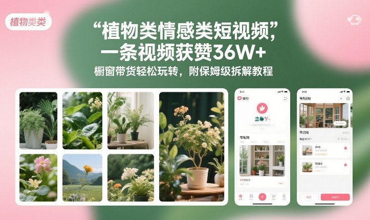 植物类情感类短视频，一条视频获赞36W+，橱窗带货轻松玩转，附保姆级拆解教程-泡泡网创