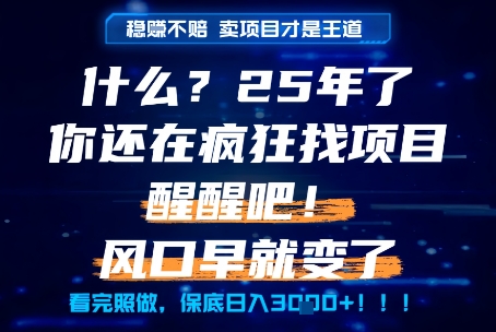 什么？25年你还在疯狂找项目做，醒醒吧，看完这些你全都懂了！【揭秘】-泡泡网创