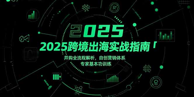 2025跨境出海实战指南，并购全流程解析，自创营销体系，专家基本功训练-泡泡网创