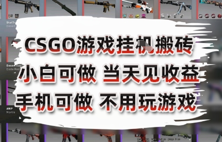 CSGO游戏挂G搬砖，小白纯手机即可操作，不用电脑打游戏，日入3张+，副业网创项目【揭秘】-泡泡网创