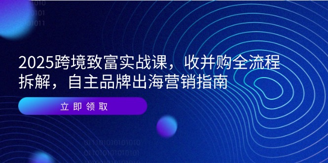2025跨境致富实战课，收并购全流程拆解，自主品牌出海营销指南-泡泡网创