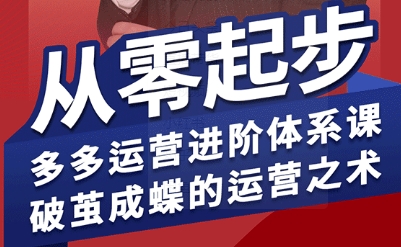 拼多多运营进阶系统课，从零起步，多多运营进阶体系课，破茧成蝶的运营之术(更新9月)-泡泡网创