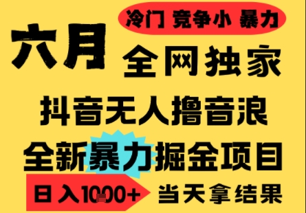25年6月高爆抖音无人直播最新撸音浪掘金项目，小白可做，无脑日入1k+，门槛低可批量矩阵【揭秘】-泡泡网创