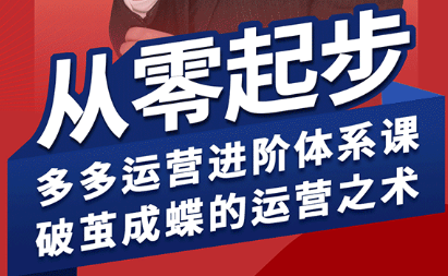 海神·拼多多运营进阶系统课(更新9月)-泡泡网创