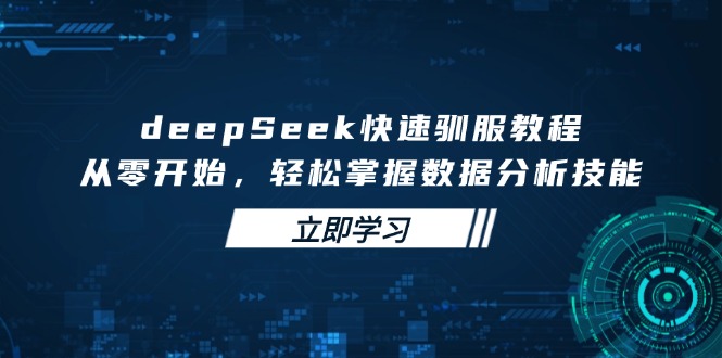 deepSeek快速驯服教程，从零开始，轻松掌握数据分析技能-泡泡网创
