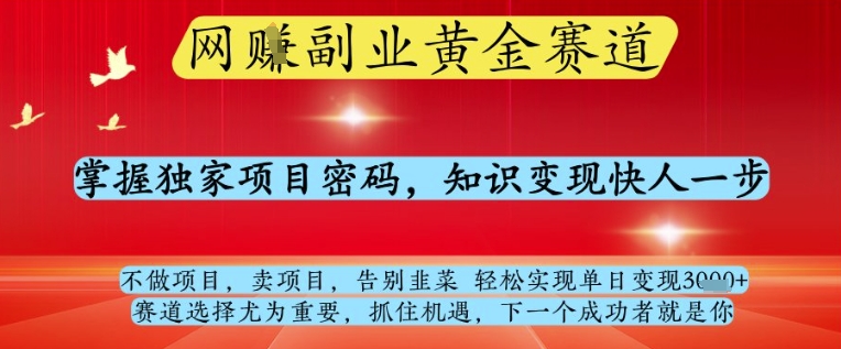 网创副业黄全赛道，掌握独家项目密码，知识变现快人一步，告别韭菜轻松实现单日变现1k+【揭秘】-泡泡网创