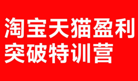 玺承·淘宝天猫盈利突破特训营(25年12月线下课)【音频+字幕】-泡泡网创