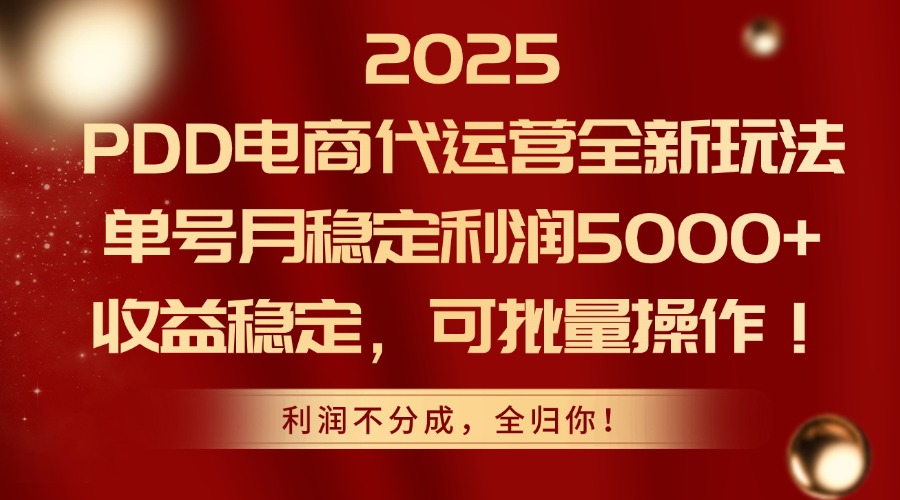 2025PDD电商代运营全新玩法，单号月稳定利润5000+，收益稳定，可批量操作-泡泡网创