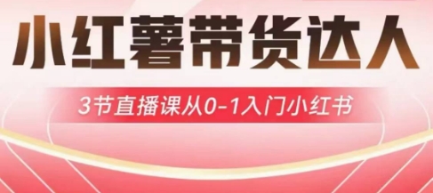 小红薯达人带货启航计划，3节直播课从0-1入门小红书-泡泡网创