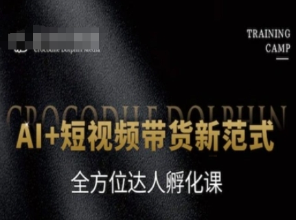 AI+短视频带货新范式，全方位达人孵化课-泡泡网创