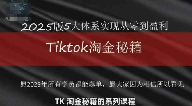TikTok跨境2025淘金秘籍，​2025TikTok从0到盈利变现-泡泡网创